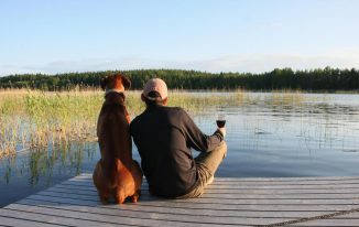 Schweden-Urlaub mit Hund