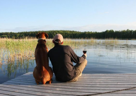 Schweden-Urlaub mit Hund