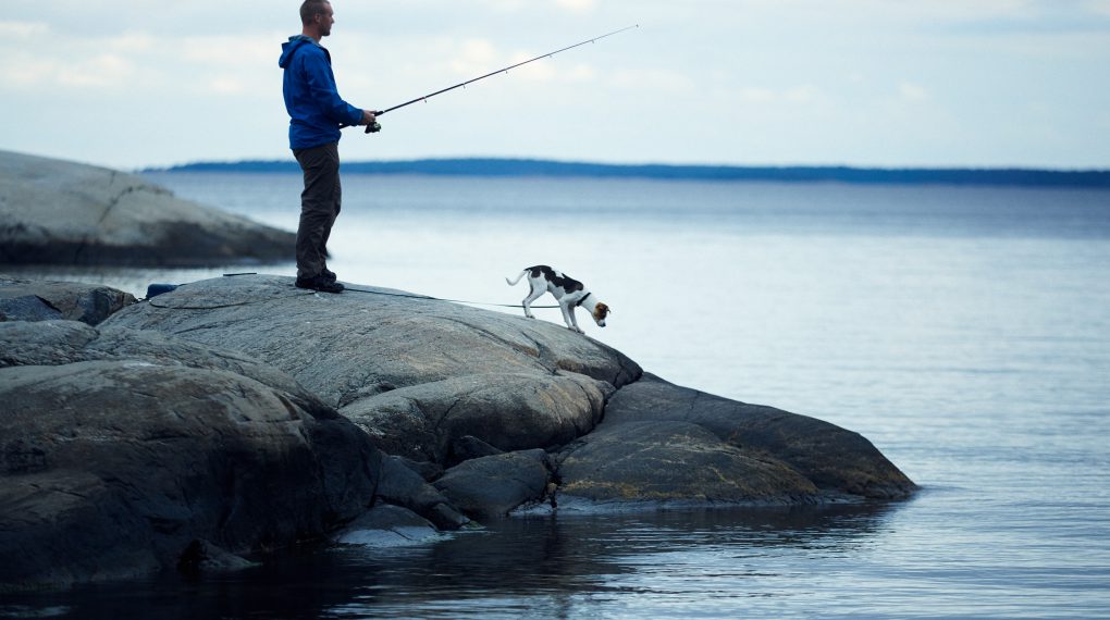 Ferienhaus Schweden alleinlage mit Hund