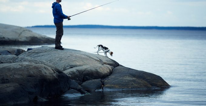 Ferienhaus Südschweden mit Hund mieten