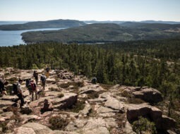 Der 2360 Hektar große Nationalpark Skuleskogen wurde 1984 gegründet und liegt in einer zerklüfteten, sehr abwechslungsreichen Küstenlandschaft an der Ostsee südlich von Rnsköldsvik.