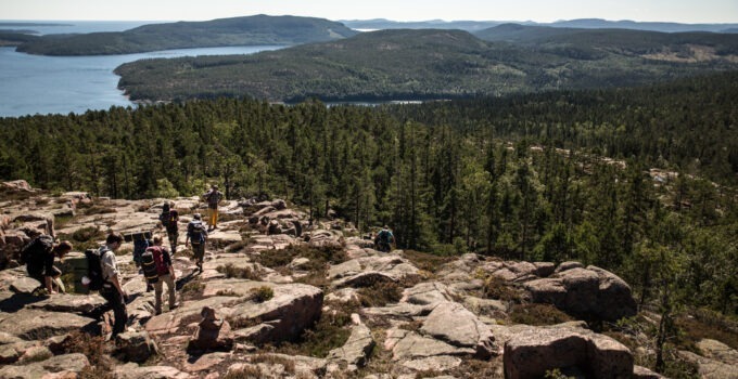 Der 2360 Hektar große Nationalpark Skuleskogen wurde 1984 gegründet und liegt in einer zerklüfteten, sehr abwechslungsreichen Küstenlandschaft an der Ostsee südlich von Rnsköldsvik.