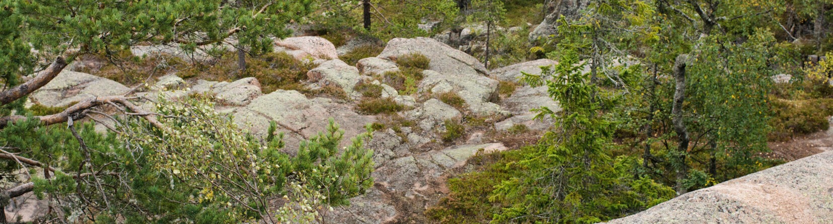 Skuleskogen National Park